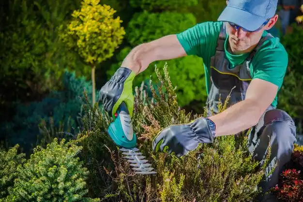landscaping services McGuffey